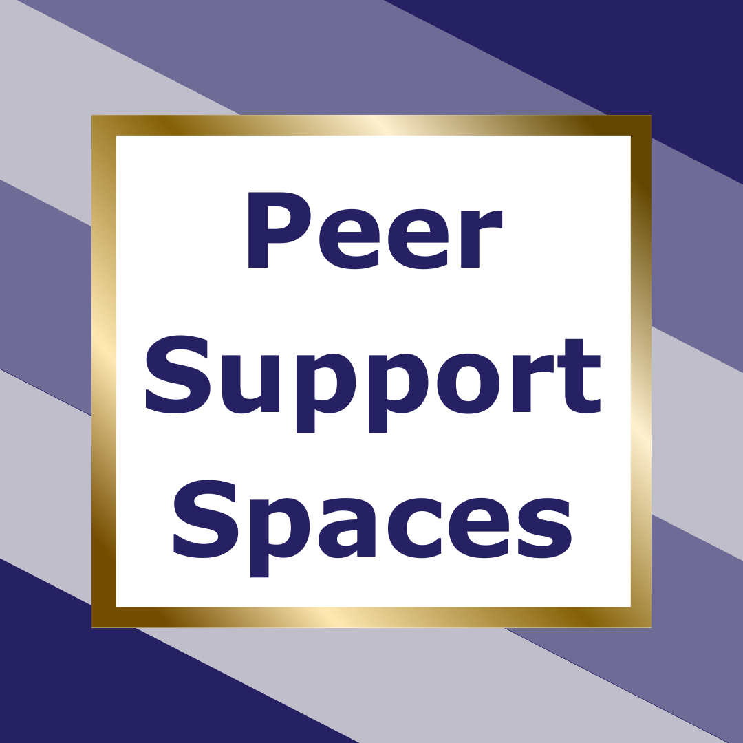 Peer Support Spaces 2024